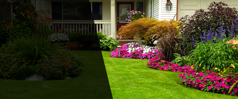 Marietta Landscapers